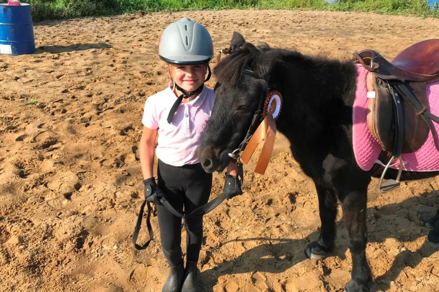 Pferde von Pferdepension und Zucht