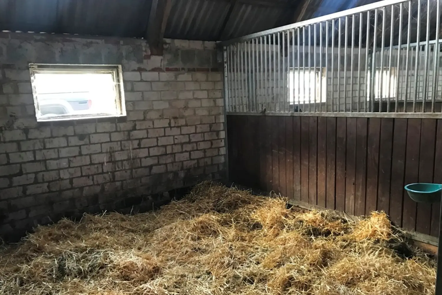 Pferdepension im Inneren der Pferdepension und Zucht